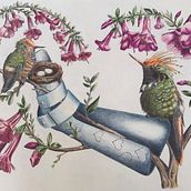Viaje de un colibrí hacia la libertad. Traditional illustration, Drawing, Realistic Drawing, and Naturalistic Illustration project by Germano Ruggeri - 07.13.2022