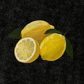 Lemons. Un progetto di Illustrazione tradizionale di Shara Hardeson - 14.07.2022