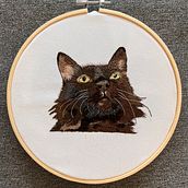 Meu projeto do curso: Needle painting para principiantes. Embroider, Naturalistic Illustration, and Textile Design project by Lucas Tosin Paese - 07.14.2022