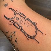 My project for course: Botanical Tattoo with Pointillism. Un progetto di Illustrazione tradizionale, Design di tatuaggi e Illustrazione botanica di hannahhirsekorn - 14.07.2022
