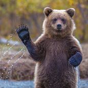 My project for course: Introduction to Hand-Painting on Clothing love it. Projekt z dziedziny Craft,  Malarstwo, DIY, Upc, cling, Wzornictwo tekst, liów i Projektowanie ubrań użytkownika Andrea Valcárcel - 15.07.2022