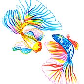 Betta Fish: My project for Daily Sketching for Creative Inspiration. Traditional illustration, Sketching, Creativit, Drawing, and Sketchbook project by rowennbk - 07.16.2022