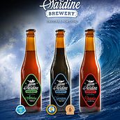 Poster for a craft beer brand from Portugal. Design, and Advertising project by Nuno Camões - 07.15.2022