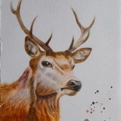 My project for Expressive Animal Portraits in Watercolor. Un progetto di Illustrazione tradizionale, Pittura ad acquerello, Disegno realistico e Illustrazione naturalistica di Manis - 17.07.2022