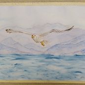 Gabbiano . Un proyecto de Pintura a la acuarela de Orietta Pierassa - 17.07.2022