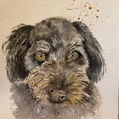 My project for course: Expressive Animal Portraits in Watercolor. Un progetto di Illustrazione tradizionale, Pittura ad acquerello, Disegno realistico e Illustrazione naturalistica di winter_05 - 19.07.2022