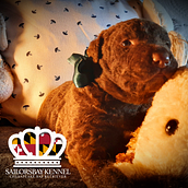 Marketing para redes. Projekt z dziedziny Reklama użytkownika Mecha Sailorsbay - 18.07.2022