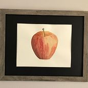 My project for course: Botanical Watercolor: Illustrating Art and Science. Un progetto di Illustrazione tradizionale, Belle arti, Pittura, Disegno, Pittura ad acquerello e Illustrazione botanica di Ashley Oland - 19.07.2022