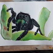 Mein Kursprojekt: Ausdrucksstarke Tierporträts in Aquarell. Traditional illustration, Watercolor Painting, Realistic Drawing, and Naturalistic Illustration project by Franziska Kröner - 07.20.2022