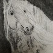 a horse of course. Artistic Drawing project by helena van roosmalen Van Roosmalen - 07.21.2022