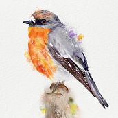 Watercolour Birds Project: Artistic Watercolor Techniques for Illustrating Birds. Traditional illustration, Watercolor Painting, Realistic Drawing, and Naturalistic Illustration project by Elise Parker - 07.22.2022