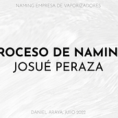 Naming: Tienda de Vaporizadores. Advertising, Br, ing, Identit, Creative Consulting, Design Management, Naming, and Design project by Daniel Araya - 07.22.2022
