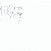Il mio progetto del corso: Illustrazioni vivaci di animali per libri d'infanzia. Character Design, Pencil Drawing, Drawing, and Children's Illustration project by Raffaella Tincani - 07.22.2022