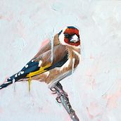 Chardonneret. Painting, Traditional illustration, Fine Arts & Interior Decoration project by Nicolas Letellier - 07.22.2022