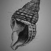 Mi proyecto del curso: Ilustración naturalista con bolígrafo. Traditional illustration, Drawing, Realistic Drawing, and Naturalistic Illustration project by Josiane Gagnon - 07.23.2022