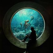 Aquarium. Matte Painting, Photograph, and Photomontage project by Mateus Bollini - 03.11.2022