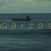 Garzas. Film, Photograph, and Video Editing project by Bryan E. Salazar Pelayo - 07.25.2022