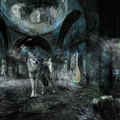 My project for course: Secrets of Photomontage and Creative Retouching. Un progetto di Fotografia, Postproduzione fotografica, VFX, Ritocco fotografico, Fotografia artistica, Composizione fotografica e Fotomontaggio di Prins Nicolas - 25.07.2022