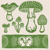 REINO FUNGI. Design, and Traditional illustration project by Fabry Salgado - 05.09.2022