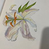 My project for course: Botanical Sketchbooking: A Meditative Approach. Traditional illustration, Sketching, Drawing, Watercolor Painting, Botanical Illustration, and Sketchbook project by urquhartvicki3 - 07.25.2022