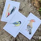 Israeli Birds Postcards. Traditional illustration, Watercolor Painting, and Naturalistic Illustration project by Reut Alon - 07.26.2022