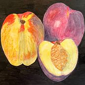 My project for course: Botanical Watercolor: Illustrating Art and Science. Un progetto di Illustrazione tradizionale, Belle arti, Pittura, Disegno, Pittura ad acquerello e Illustrazione botanica di Tina - 26.07.2022