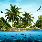 My project for course: Digital Collage in Photoshop: Composition and Visual Effects. Photograph, Collage, Photo Retouching, Fine-Art Photograph, Photographic Composition, and Photomontage project by Saif Ahmed - 07.26.2022