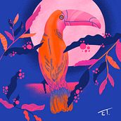 Tucano by ET Ein Projekt aus dem Bereich Traditionelle Illustration von Eduardo Teixeira Souza - 18.11.2021
