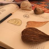 Practicing shapes. Traditional illustration project by Sabrina Gerland - 07.27.2022