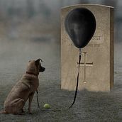 EL INEXORABLE TIEMPO. Photograph, Post-production, Collage, Photographic Composition, and Photomontage project by Néstor Rubén Fernández Aranda - 01.21.2022