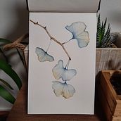 Il mio progetto del corso: Disegno e composizione naturalistica ad acquerello. Un progetto di Illustrazione tradizionale, Disegno, Pittura ad acquerello e Illustrazione naturalistica di Arianna Rebecchi - 28.07.2022