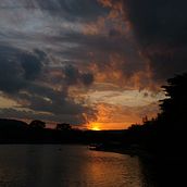Nature through a mobile camera. Mobile Photograph, Photographic Composition, and Outdoor Photograph project by manoj_barai - 07.26.2022