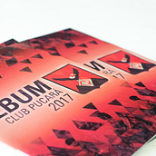 Album de stickers | Club Pucará. Un progetto di Illustrazione tradizionale, Fotografia, Direzione artistica, Design editoriale, Graphic design e Albo illustrato di Feli Del Mestre - 14.08.2017