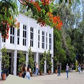 Divulgação da Biblioteca Central. Un proyecto de Educación de Márcio Nunes - 30.08.2022