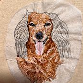 Rex. Embroider, Naturalistic Illustration, and Textile Design project by Sierra Nichols - 07.30.2022