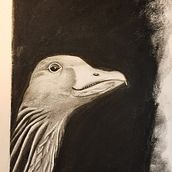Gans sie selbst. Drawing, and Portrait Drawing project by Petra Köster - 07.31.2022