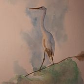Seidenreiher. Watercolor Painting project by Petra Köster - 07.31.2022