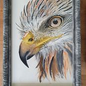 BIRD OF PRAY portrait in watercolor and white gouache. Projekt z dziedziny Trad, c, jna ilustracja,  R, sunek i Malowanie akwarelą użytkownika Henriëtte Doornwaard - 09.07.2022