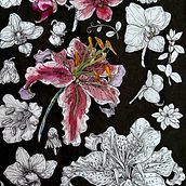 Quick botanical sketch. Sketching, and Artistic Drawing project by amelieyu - 07.16.2022