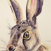 Mi proyecto del curso: Técnicas experimentales de acuarela para principiantes. Traditional illustration, Fine Arts, Watercolor Painting, and Naturalistic Illustration project by Amanda Cisneros - 08.01.2022