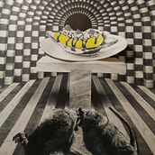 Provocative conflict. Design project by Enmanuel Abud - 01.18.2022