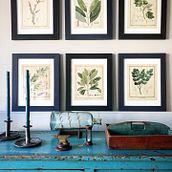 A selection of some of my favorite store vignettes.. Interior Design, Fine Arts, Decoration & Interior Decoration project by Sean Scherer - 07.27.2022