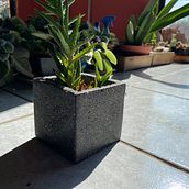 Mi proyecto del curso: Creación de muebles en concreto para principiantes. Arts, Crafts, Furniture Design, Making, Interior Design, Interior Decoration, and DIY project by Raquel López - 08.02.2022