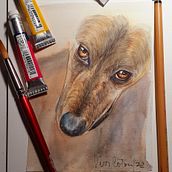 Mi proyecto del curso: Retratos expresivos de animales en acuarela- Sirah. Traditional illustration, Watercolor Painting, Realistic Drawing, and Naturalistic Illustration project by Viviana Coton - 08.03.2022