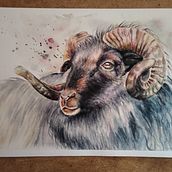 Mi proyecto del curso: Retratos expresivos de animales en acuarela. Projekt z dziedziny Trad, c, jna ilustracja, R, sunek realist, czn, Ilustracja naturalist, czna i Malowanie akwarelą użytkownika Ruth Sol - 04.08.2022