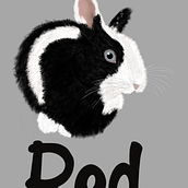 Rabbit. Traditional illustration project by Lucie Simon - 08.05.2022