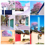 My project for course: Photography with Color: Create a Cinematic Look. Outdoor Photograph, Instagram Photograph, Photographic Composition, and Color Theor project by Mabel Avila - 08.03.2022