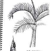 My project for course: Drawing for Beginners Level -1. Desenho a lápis, Desenho, e Sketchbook projeto de apinya_amn - 03.08.2022