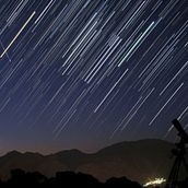 Mi proyecto del curso: Introducción a la escritura fantástica y de ciencia ficción- "Estudio sobre la pigmentación del pelaje de los gatos en Venus". Writing, Stor, telling, Narrative, Fiction Writing, and Creative Writing project by Roberto David Ortega - 08.26.2022