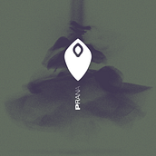 "Prana" Yoga studio's brand identity. Art Direction, Br, ing, Identit, Graphic Design, and Logo Design project by bagore - 08.10.2022